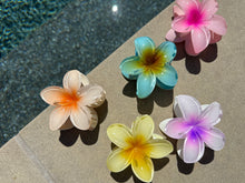 Load image into Gallery viewer, 858 Farmers Market Flowers- Hair Clips
