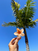 Load image into Gallery viewer, 858 Farmers Market Flowers- Hair Clips
