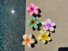 Load image into Gallery viewer, 858 Farmers Market Flowers- Hair Clips
